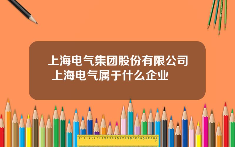 上海电气集团股份有限公司 上海电气属于什么企业